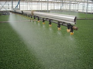 Plantalgarve_Carro de rega