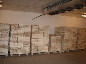 Plantalgarve_Câmaras de germinação (1)