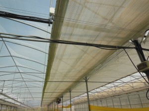 Plantalgarve_Malha térmica