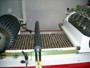 Plantalgarve_Sementeira 01