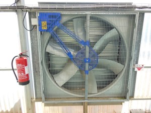 Plantalgarve_Ventiladores Extractores